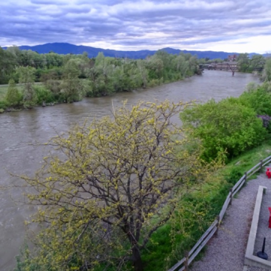 Above flood stage Clark Fork River in Missoula, MT